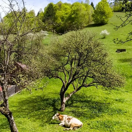Alojamento de Turismo Rural Voinescu House - Natural Living & Eating Simon