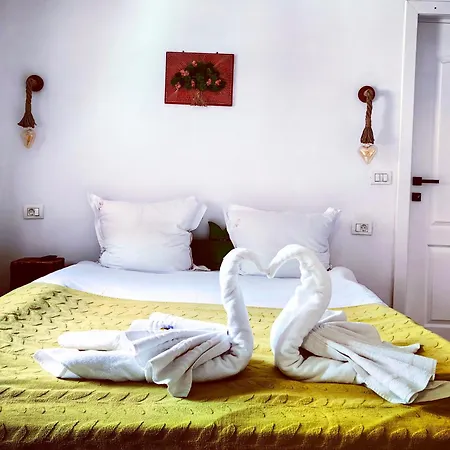 Farm stay Voinescu House - Natural Living & Eating